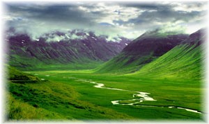 Islanda verde